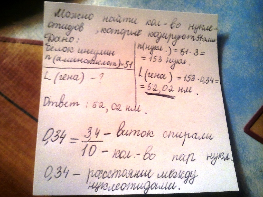 Известно что 51. Какую длину имеет ген кодирующий инсулин если известно. Какую длину имеет ген кодирующий инсулин 51 аминокислоту. Какая длина Гена?. Длина Гена равна.